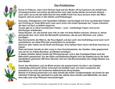 Abschreibtext-Frühblüher.pdf